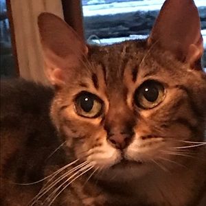 Meet your Posher, Leigh